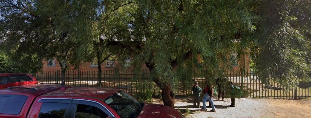 Stellaland Laerskool Travel Forum Reviews