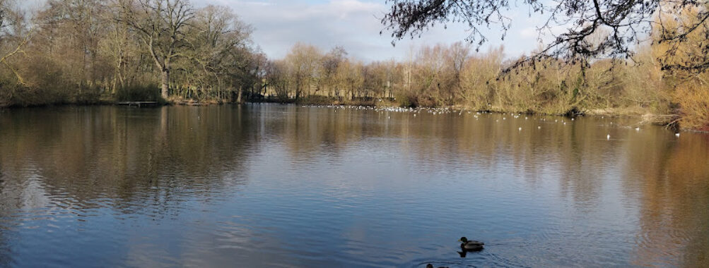 Stephenstown Pond Travel Forum Reviews