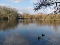 Stephenstown Pond Travel Forum Reviews