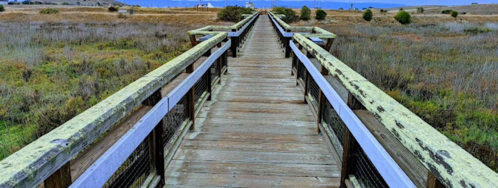 Stevens Creek Shoreline Nature Study Area Preserve Travel Forum Reviews