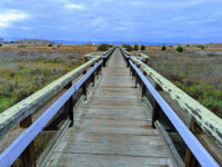 Stevens Creek Shoreline Nature Study Area Preserve Travel Forum Reviews