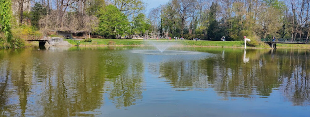 Steytelinckpark Travel Forum Reviews