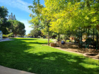 Stojanovich Family Park Travel Forum Reviews