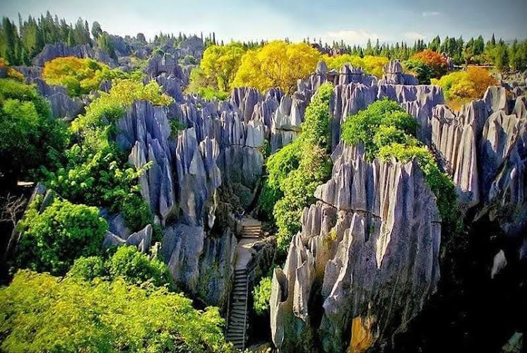 Stone Forest National Geological Park Naigu Scenic Area
