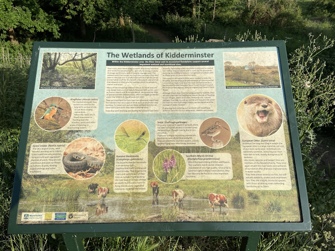 Stourvale Nature Reserve