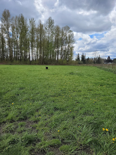 Strawberry Fields Off-Leash Dog Park