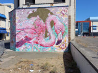 Street art in WSM - Seals Travel Forum Reviews