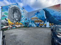 Streetart Tromsø Travel Forum Reviews