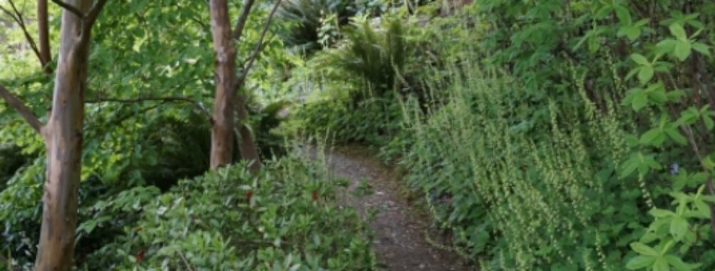 Streissguth Gardens Travel Forum Reviews