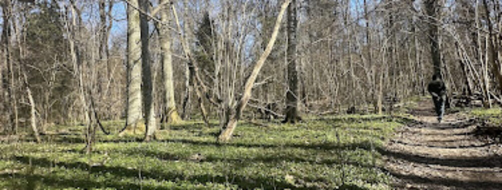 Strömsbergs Naturreservat Travel Forum Reviews