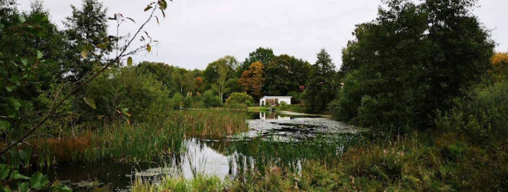 Strömsbergs naturreservat Travel Forum Reviews