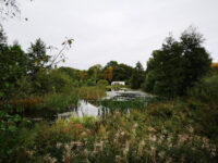 Strömsbergs naturreservat Travel Forum Reviews