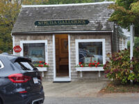 Struna Galleries Chatham Travel Forum Reviews