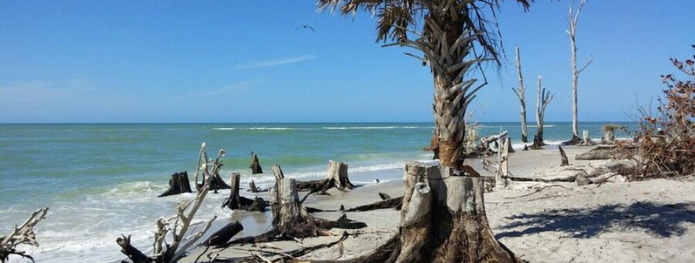 Stump Pass Beach State Park Englewood