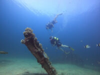Subway Diving Center Mahdia Travel Forum Reviews