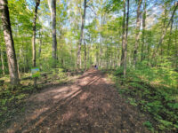 Sugarbush Heritage Park Travel Forum Reviews