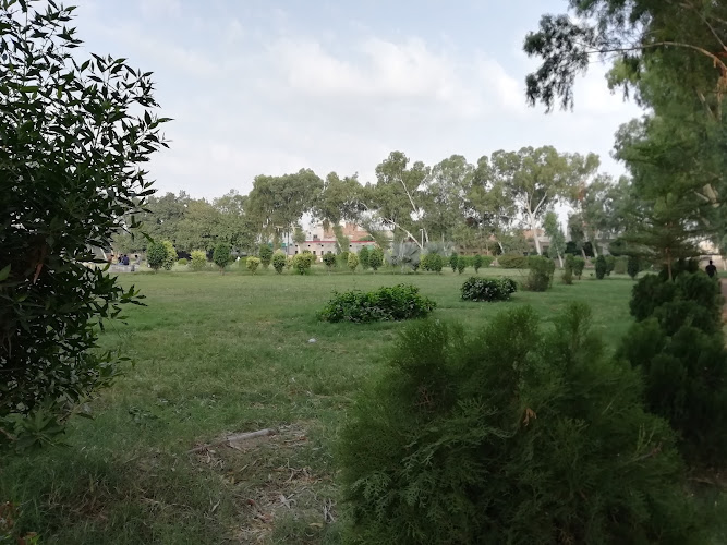 Summer Set Ground