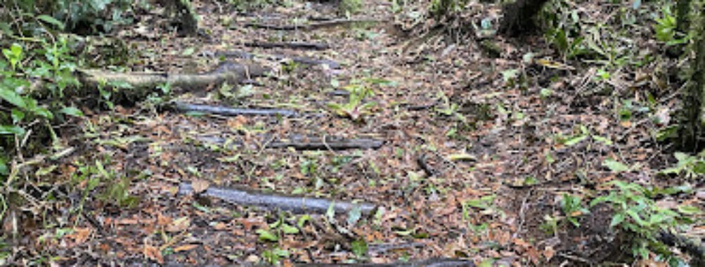 Summits Honduras Travel Forum Reviews