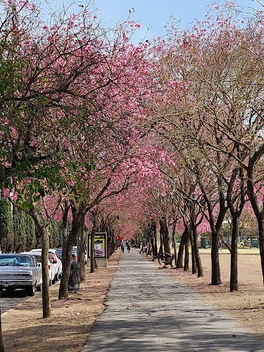 Sunchales Park