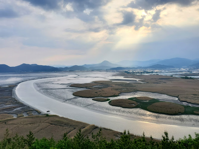 Suncheon Bay Nature Reserve