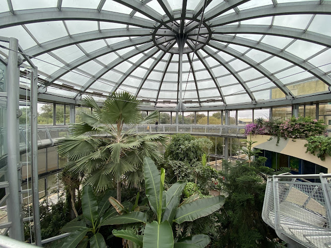 Sunderland Museum, Winter Gardens
