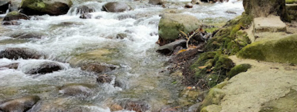 Sungai Congkak Recreational Forest Travel Forum Reviews