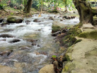 Sungai Congkak Recreational Forest Travel Forum Reviews