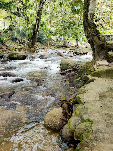 Sungai Congkak Recreational Forest