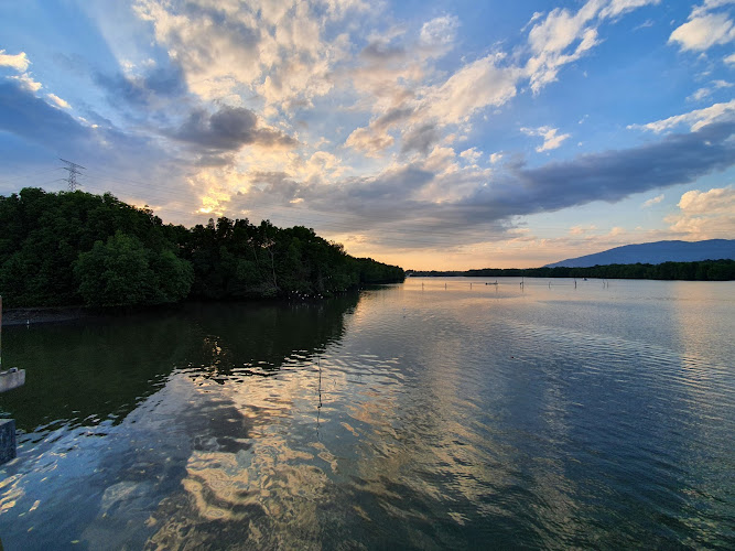 Sungai Merbok Mangrove Forest Reserve
