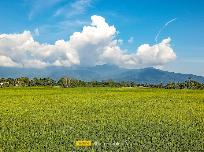 Sungai Petani Paddy lookout point