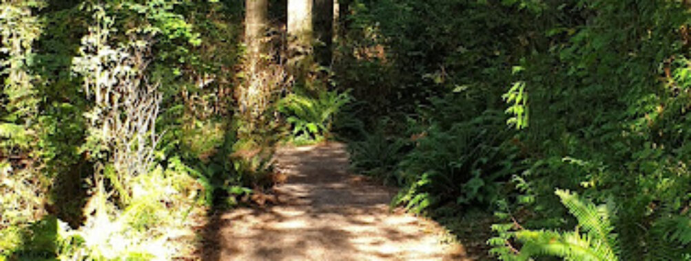 Sunnyside Acres Urban Forest Park Travel Forum Reviews
