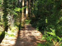 Sunnyside Acres Urban Forest Park Travel Forum Reviews