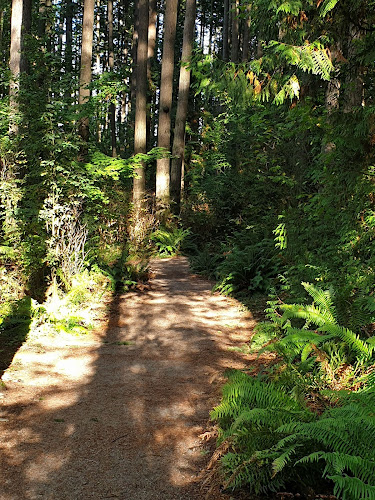 Sunnyside Acres Urban Forest Park
