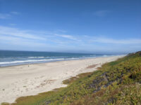 Sunset State Beach Travel Forum Reviews