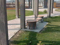 Sutluj city park Travel Forum Reviews