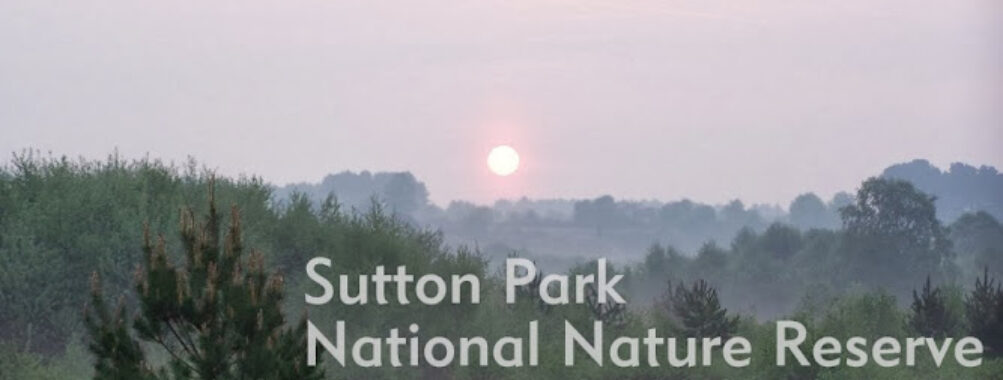 Sutton Park Travel Forum Reviews