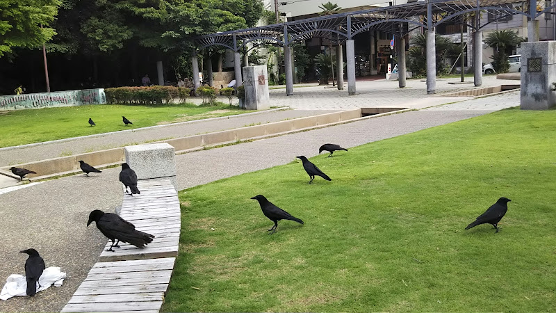 Suwa Park