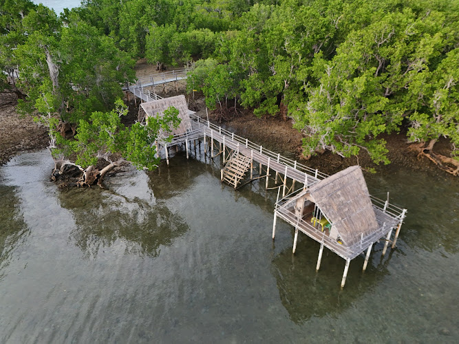 Suyac Island Mangrove Eco-Park