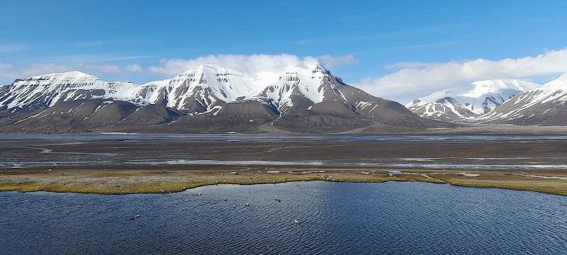 Svalbard Villmarkssenter AS