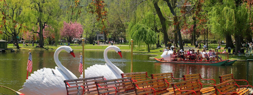 Swan Boats Travel Forum Reviews