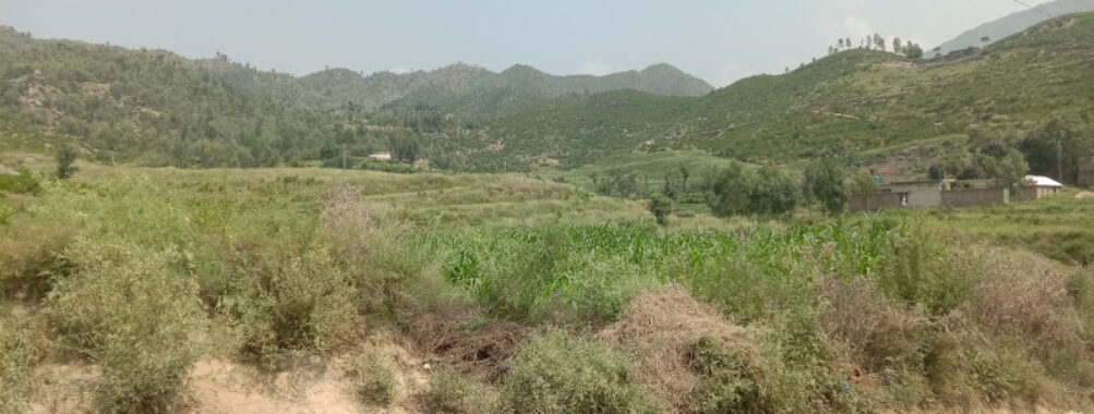 Swat Dangram Township PHA Travel Forum Reviews