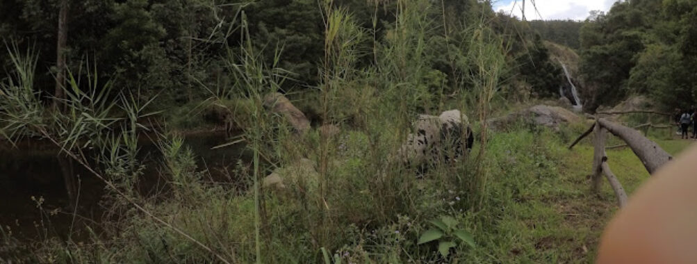 Swazi Trails. Travel Forum Reviews