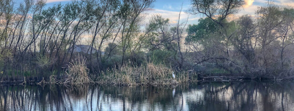 Sweetwater Wetlands Park Travel Forum Reviews