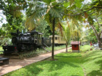Swinford Park Travel Forum Reviews