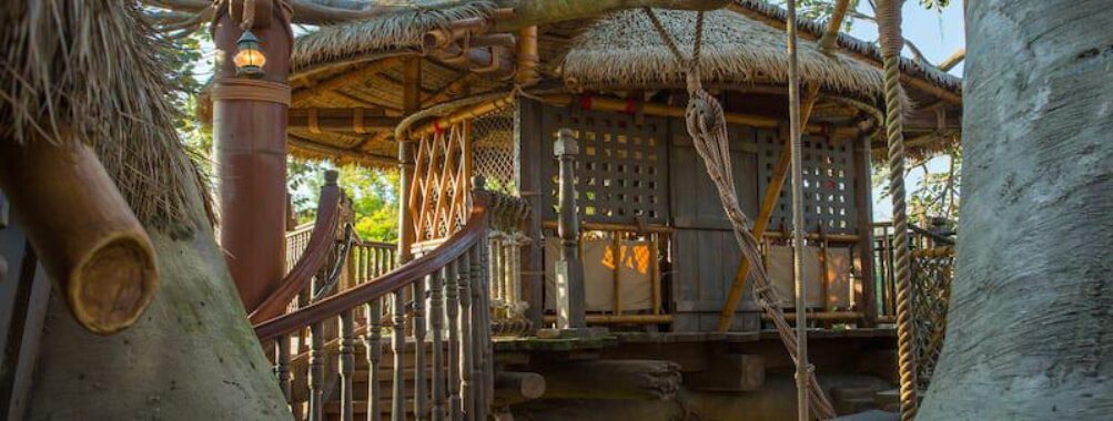 Swiss Family Treehouse Travel Forum Reviews