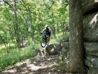Swope Park Mountain Bike Trail Travel Forum Reviews