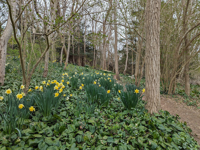 Sylvan Gardens