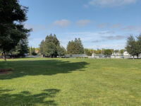 Sylvan Park Travel Forum Reviews