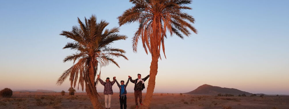 THE WHITE MOUNTAIN Travel Forum Reviews