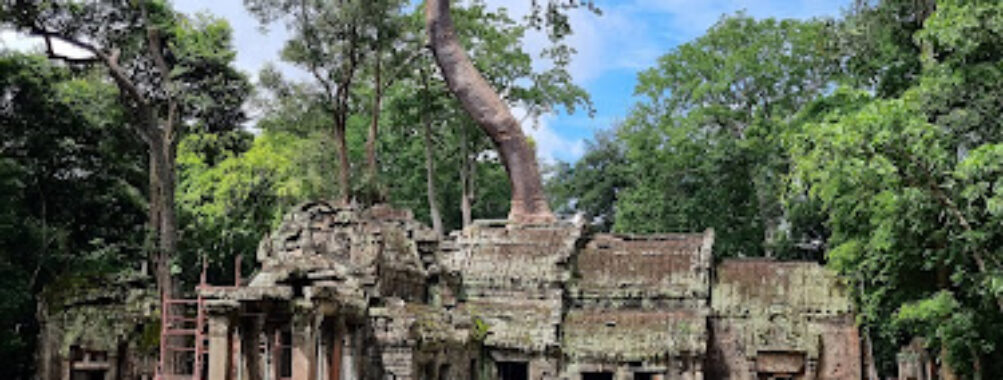 Ta Prohm Temple Travel Forum Reviews